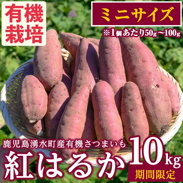さつまいも 紅はるか 10キロ 減農薬栽培 農家直送 サイズ選択可 さつまいも 紅はるか 10kg サツマイモ ミニサイズ 有機【そのやま農園