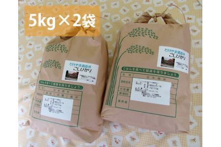 府中市の岳山清流米コシヒカリ　10kg No.303