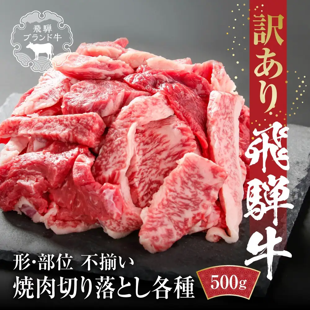 訳あり 飛騨牛 焼肉 切り落とし 500g 冷凍真空パック | 切り落とし MZ013