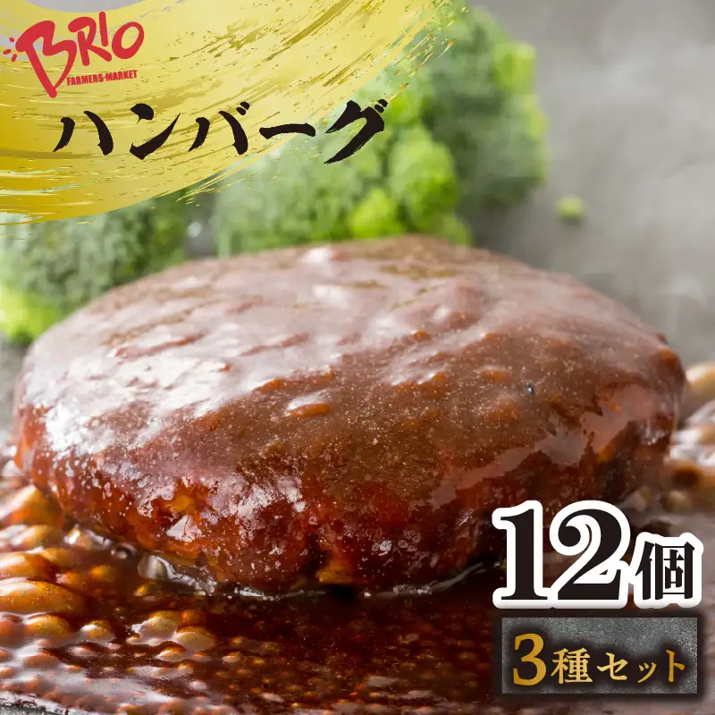 「あいぽーく」ハンバーグ3種セット各4個（計12個） 本格ハンバーグ デミグラス 和風ハンバーグ トマト煮込みハンバーグ お肉 食べ比べ 簡単調理 湯煎 特製 人気 子供 安心 肉汁 豚肉 美味しい 惣菜 おかず 石川養豚場 愛知県産 お取り寄せ グルメ セット 愛知県 常滑市