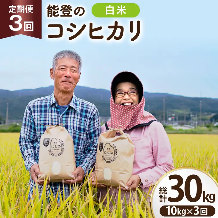 【期間限定発送】 米 定期便 コシヒカリ 白米 10kg 3回 総計 30kg