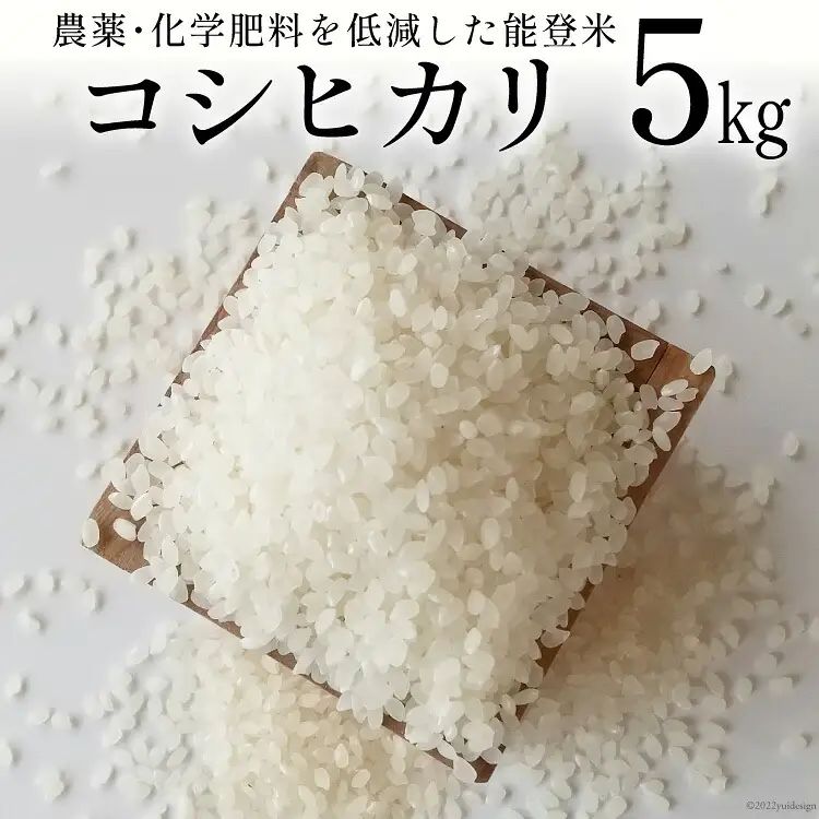 【期間限定発送】 米 令和7年 能登米 コシヒカリ 精米 5kg