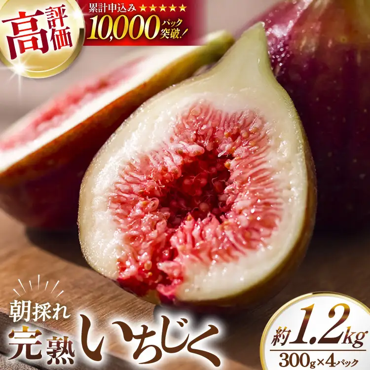 【期間限定発送】 いちじく 生 完熟 約1.2kg (300g×4パック)