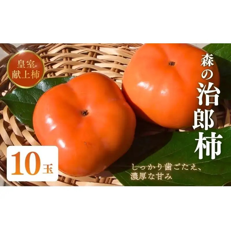 森の治郎柿（10玉） 果物 両角柿園 静岡県産 次郎柿