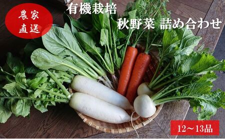 秋野菜詰合せ 有機栽培有機JAS群馬県産 秋野菜詰合せ