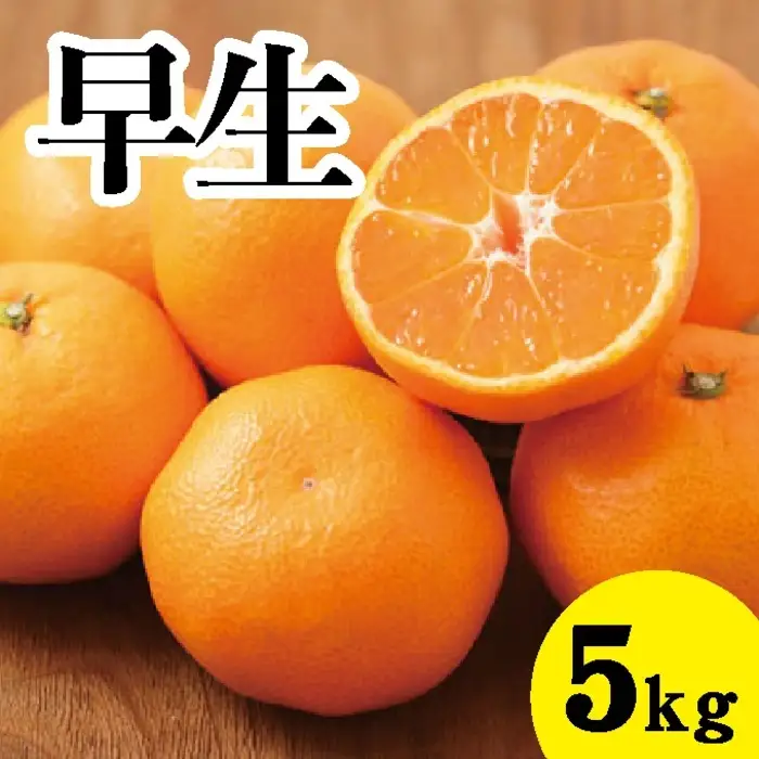 みかん【先行受付】【2026年11月以降発送】甘いだけじゃない！甘みと酸味の 早生みかん ＜約5kg＞ 広島 三原 佐木島 鷺島みかんじま 017014 