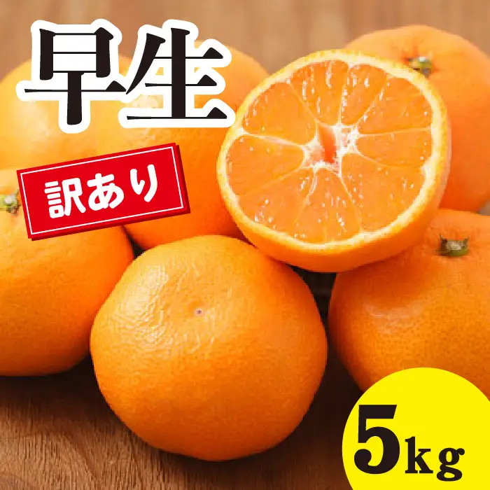 訳あり みかん 【先行受付】【2026年11月以降発送】甘いだけじゃない！ 甘みと酸味の 訳あり早生みかん ＜約5kg＞ 広島 三原 佐木島 鷺島みかんじま 017015