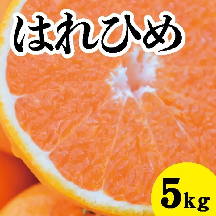 みかん【先行受付】【2027年1月以降発送】 爽やかな香りと甘さに満足！ 新品種 はれひめ ＜約5kg＞ 広島 三原 佐木島 鷺島みかんじま 017018