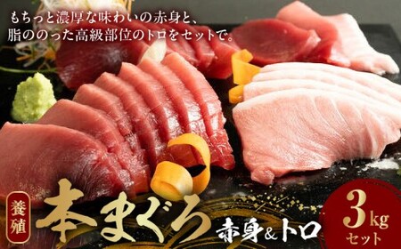本マグロ （養殖） 赤身 ＆ トロ セット 3kg_AZ6021