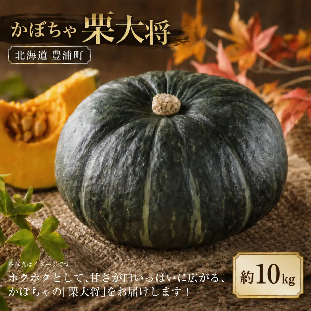 【先行予約】北海道 豊浦町 かぼちゃ 栗大将 約10kg 5-7玉【2026年9月上旬発送開始】 カボチャ 南瓜 野菜 煮物 天ぷら
