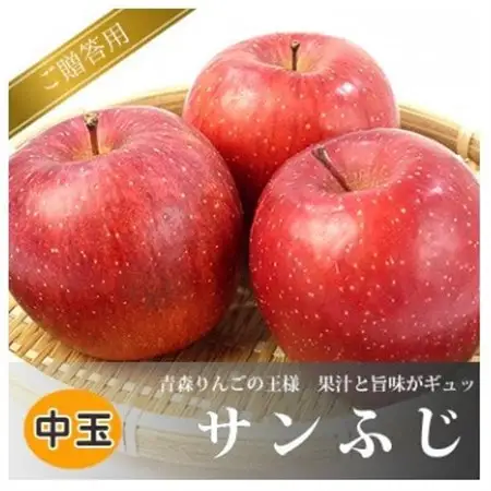 青森県黒石産サンふじ贈答用 約5kg_果物・フルーツ りんご  リンゴ 林檎_【1267839】