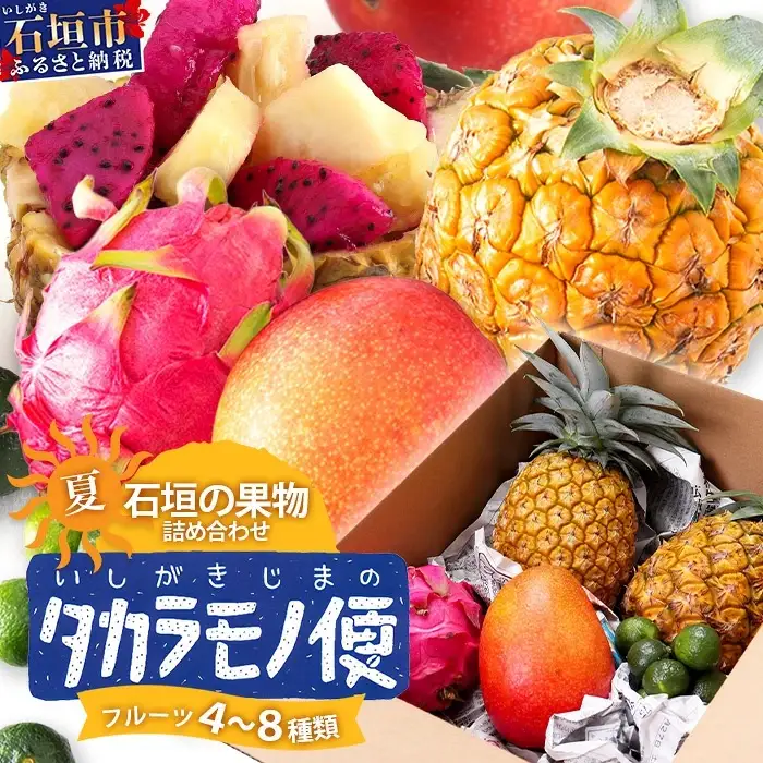 《2027年夏に順次発送予定》石垣島の夏「果物」詰め合わせ～夏のタカラモノ果物便～