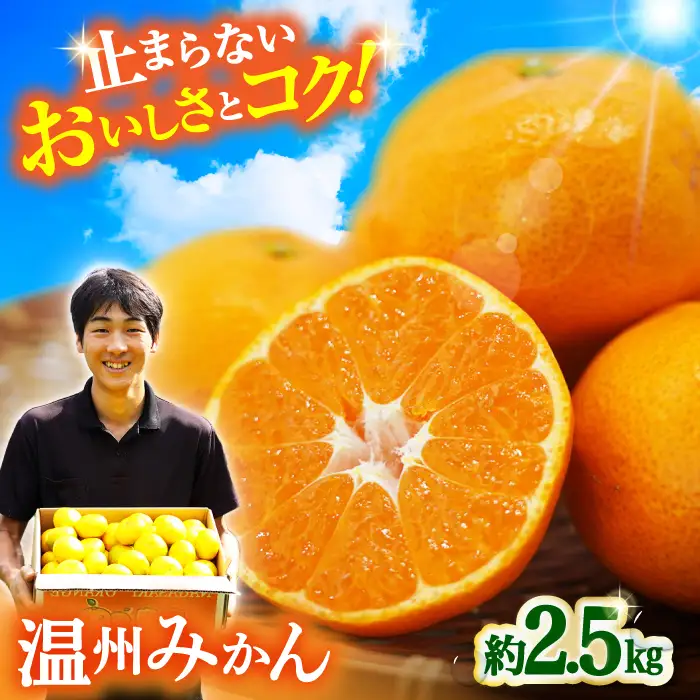 温州みかん 約2.5kg みかん  [ACAI001]