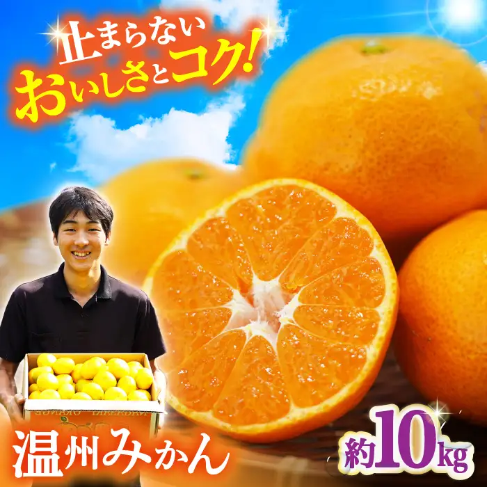 温州みかん 約10kg [ACAI003]