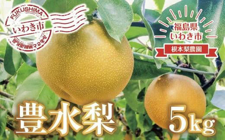 《先行予約》いわき市産梨　豊水 約5kg（約9～13個）