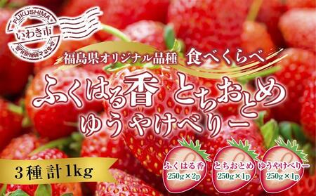 【産地直送】いわき市産いちご「ふくはる香」「よつぼし」「ゆうやけベリー」「ベリーホップすず」の食べ比べセット1kg（250g×4パック）  | BB031