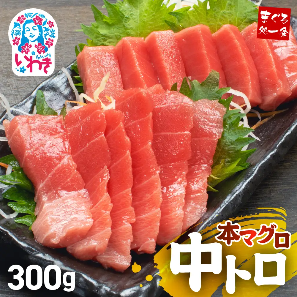 本まぐろ 中トロ 訳あり 約300g まぐろ 増量【DG007】