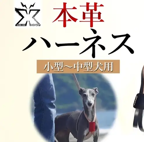 犬用 ハーネス 胴輪 小型犬 中型犬 ナチュラル ヌメ革 レザー 本革 牛革 手作り ハンドメイド ペット用品 お散歩 お出かけ オーダーメイド 犬具 神奈川県 ギフト 贈り物 プレゼント ご褒美 ブルー