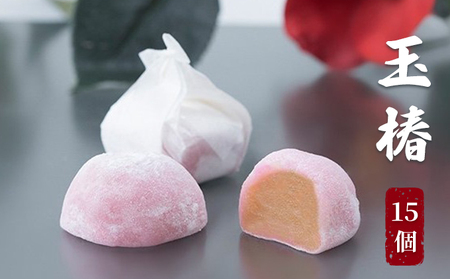 和菓子 玉椿 15個 黄身餡 求肥 姫路 和菓子