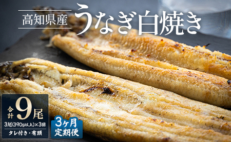 【3カ月定期便】高知県産 鰻 白焼き130～150ｇ×3尾 合計9尾 鰻 定期便 Wyw-0072