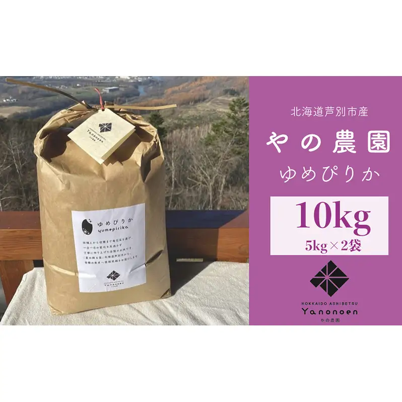 米 ゆめぴりか 精米 白米 10kg 5kg×2袋 お米