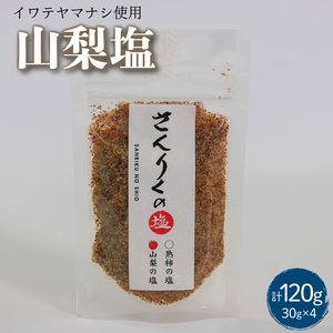 山梨塩 30g袋入り 4袋  塩 調味料 なし 梨 おしお しお ソルト salt ミニボトル 料理 味付 岩手県 大船渡市