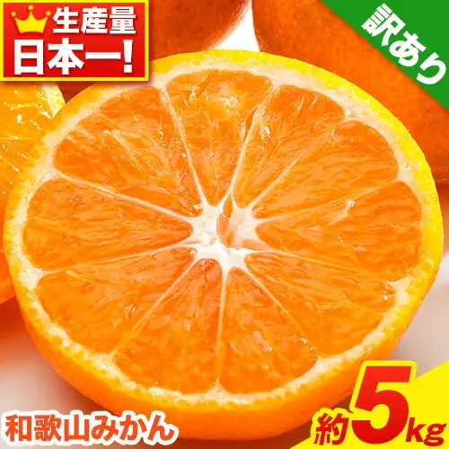 みかん 訳ありみかん 約5kg