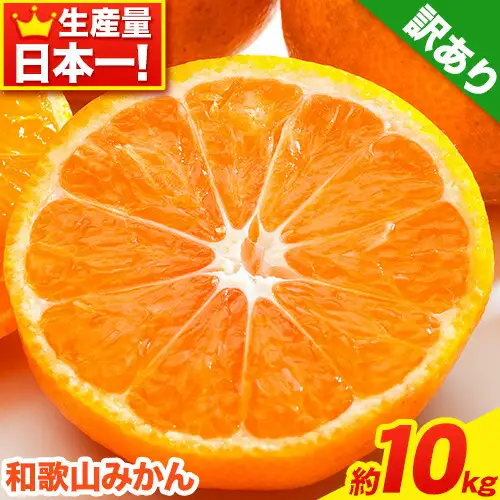 みかん 訳ありみかん 約10kg