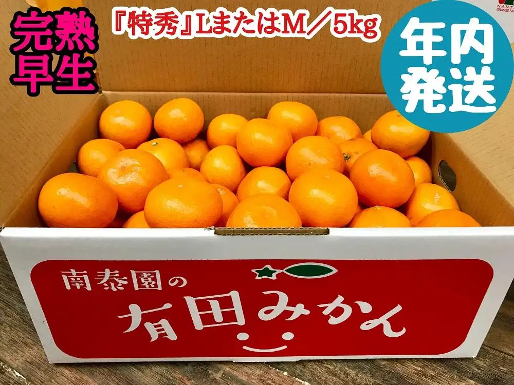 年内発送 完熟早生 有田みかん 特秀 L または M サイズ 5kg 和歌山 南泰園 みかん