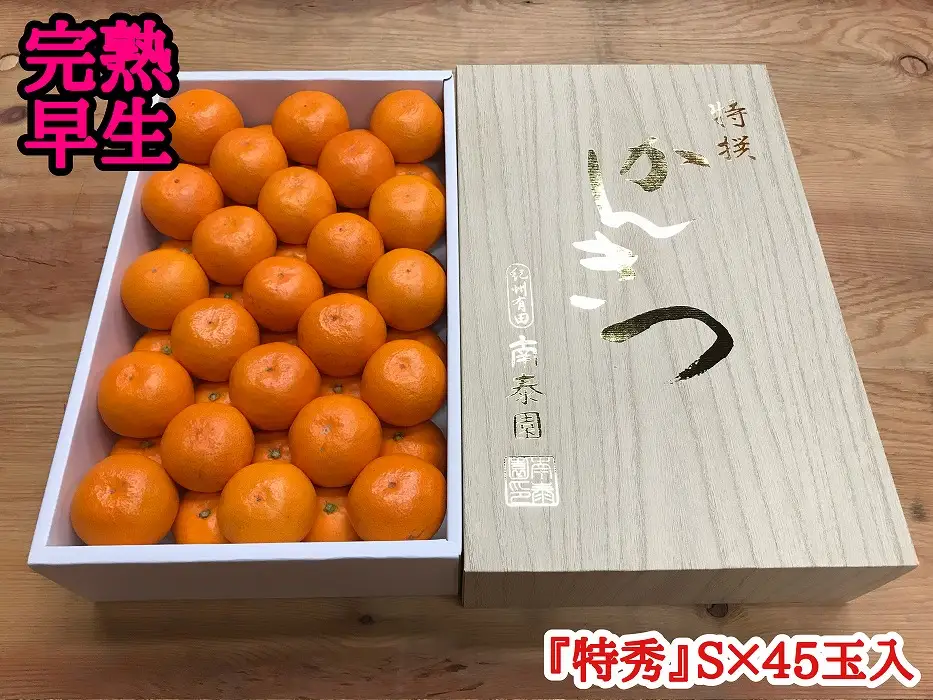 年内発送 完熟早生 有田みかん 化粧箱 特秀 S サイズ 45玉入 和歌山 南泰園 みかん