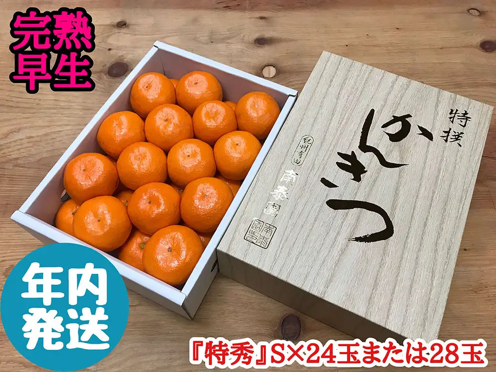 年内発送 完熟早生 有田みかん 化粧小箱 特秀 S サイズ 24玉または28玉入 和歌山 南泰園 みかん