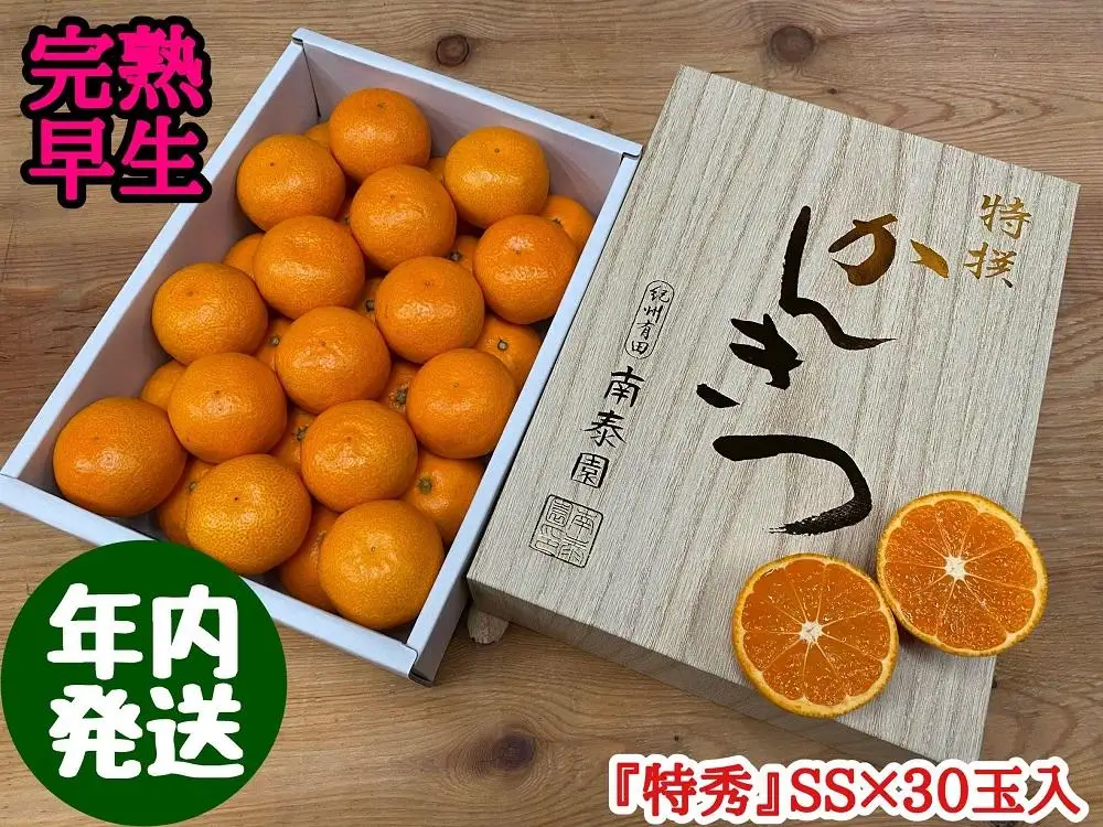 年内発送 完熟早生 有田みかん 化粧小箱 特秀 小玉 SS サイズ 30玉入 和歌山 南泰園 みかん