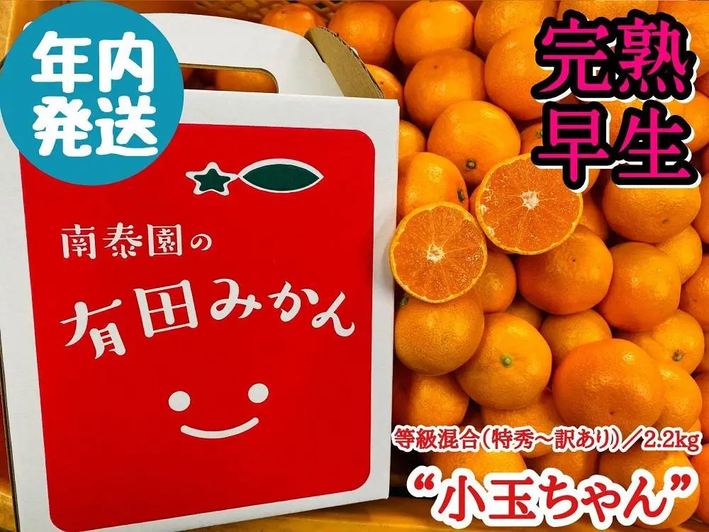 年内発送 有田みかん 小玉 年内 2.2 kg 等級混合