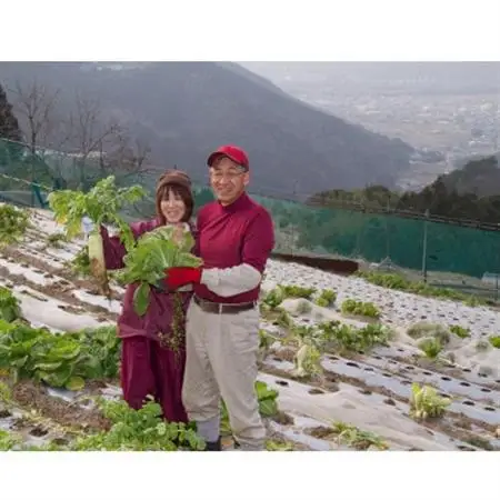 田口農園徳島の世界農業遺産ブランド野菜　 農家人が選ぶ旬野菜のおまかせセット【配送不可地域：離島】【1381836】