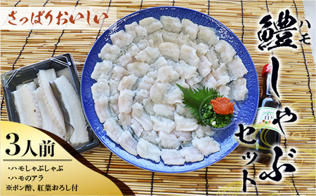 AO0101 鱧（ハモ）しゃぶセット（3人前） 冷蔵 山口県産
