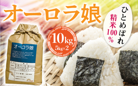 ひとめぼれ オーロラ娘(精米100％) 5kg×2(10kg) ひとめぼれ BE0202