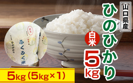 山口県産 ひのひかり 5kg 米 精米 AF0201