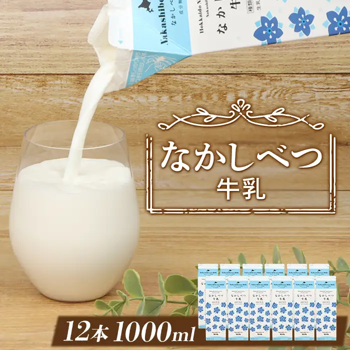 北海道なかしべつ牛乳 1L×12本【1401602】