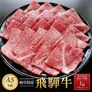 飛騨牛Ａ5 焼肉用 1kg（500g×2パック）ロース 又は 肩ロース 肉 ｜国産 肉 牛肉 焼肉 和牛 黒毛和牛 グルメ A5等級 おすすめ AD117【飛騨牛 和牛ブランド 飛騨牛 黒毛和牛 飛騨牛 岐阜 大野町 飛騨牛】