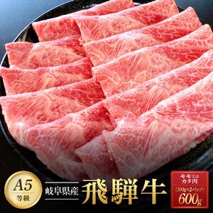 飛騨牛Ａ5 赤身肉 スライス 600g（300g×2パック）モモ 又は カタ 肉 ｜国産 肉 牛肉 焼肉 すき焼き しゃぶしゃぶ 和牛 黒毛和牛 赤身 グルメ A5等級 おすすめ AD120【飛騨牛 和牛ブランド 飛騨牛 黒毛和牛 飛騨牛 岐阜 大野町 飛騨牛】