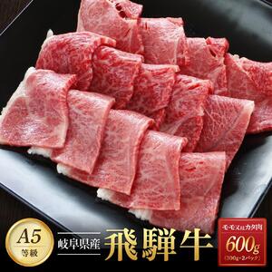飛騨牛Ａ5 赤身肉 焼肉用 600g （300g×2パック） モモ 又は カタ 肉 ｜国産 肉 牛肉 焼肉 和牛 黒毛和牛 赤身 グルメ A5等級 おすすめ AD124 【飛騨牛 和牛ブランド 飛騨牛 黒毛和牛 飛騨牛 岐阜 大野町 飛騨牛】