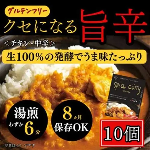 発酵スパイスカレー10個 ★白山麓のW発酵とスパイス5種  クセになる旨辛 グルテンフリー＆無添加_惣菜・加工品 カレー  _【配送不可地域：離島】【1376659】
