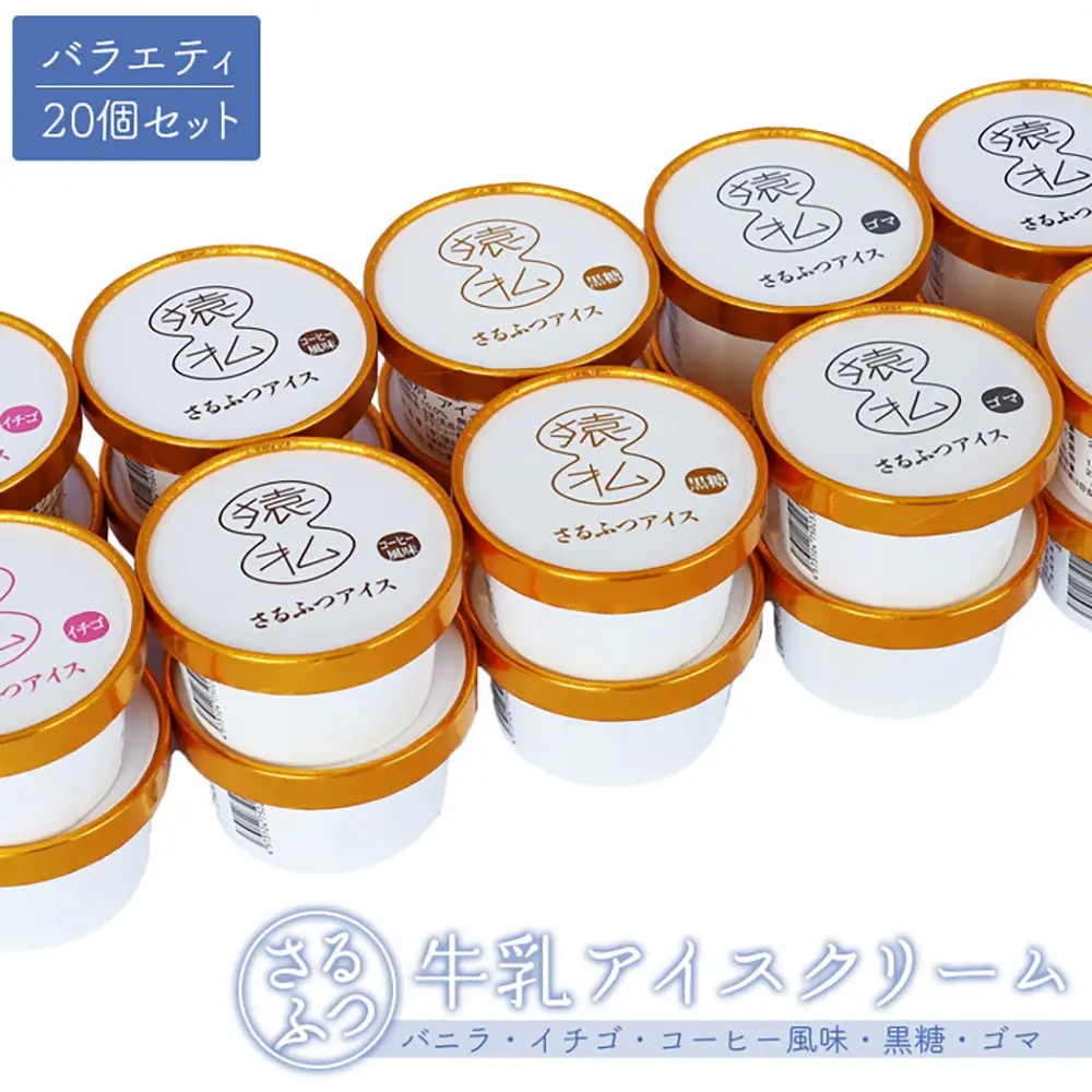 さるふつ牛乳アイスクリーム バラエティ20個セット【0302601】