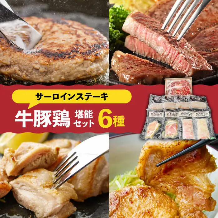 【牛 ・ 豚 ・ 鶏 を堪能セット！】長崎和牛 サーロイン ステーキ 5人前 200g×5  長崎じげもん豚 と 雲仙しまばら鶏 詰合せ(8人前) / 南島原市 / 溝田精肉店 [SBP042]