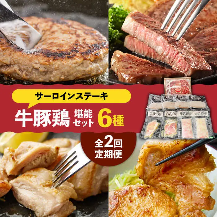 【2回定期便】【牛 ・ 豚 ・ 鶏 を堪能セット！】長崎和牛 サーロイン ステーキ 5人前 200g×5  長崎じげもん豚 と 雲仙しまばら鶏 詰合せ(8人前) / 南島原市 / 溝田精肉店 [SBP043]