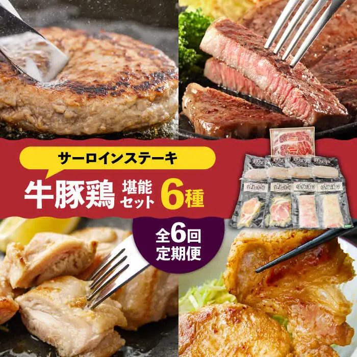 【6回定期便】【牛 ・ 豚 ・ 鶏 を堪能セット！】長崎和牛 サーロイン ステーキ 5人前 200g×5  長崎じげもん豚 と 雲仙しまばら鶏 詰合せ(8人前) / 南島原市 / 溝田精肉店 [SBP045]