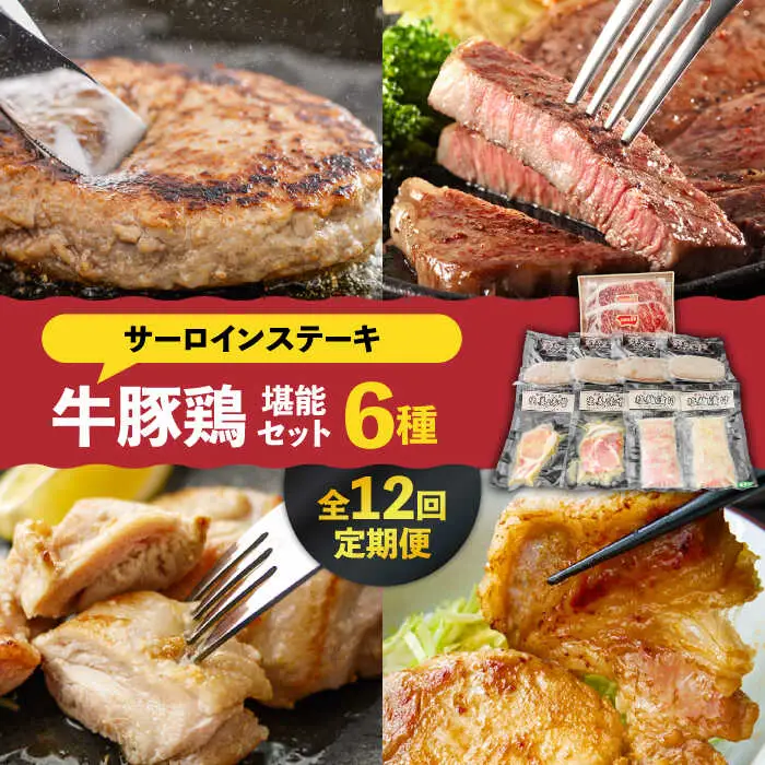 【12回定期便】【牛 ・ 豚 ・ 鶏 を堪能セット！】長崎和牛 サーロイン ステーキ 5人前 200g×5  長崎じげもん豚 と 雲仙しまばら鶏 詰合せ(8人前) / 南島原市 / 溝田精肉店 [SBP046]