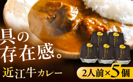 -あふひ 贅の極み- 近江牛カレー レトルト 2人前×5個セット / 恵那市 / テンポイント [AUEU018]