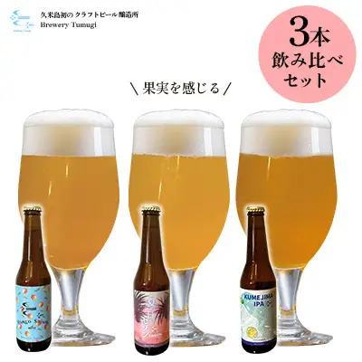 ビール 久米島の恵みをたっぷり使用「久米島産ビール 果実を感じる3本セット」 クラフトビール
