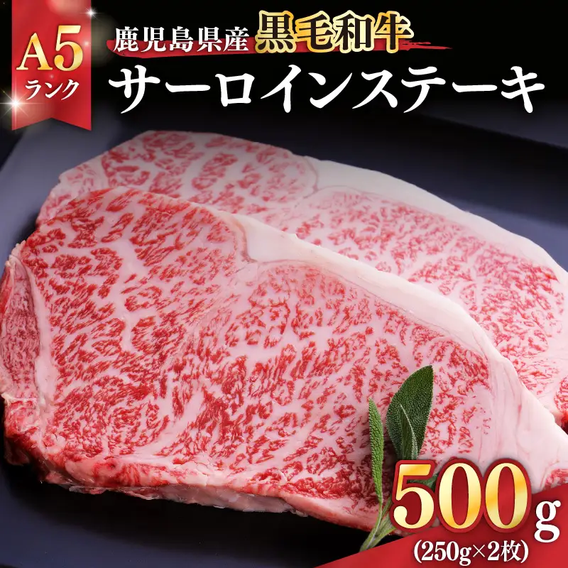 1397-1 鹿児島県産黒毛和牛A5ランクサーロインステーキ 500g（250g×2枚） KN041-001-01 肉 牛肉 冷凍